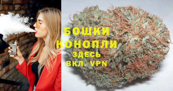 шишки Покачи