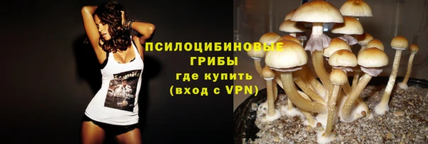 PSILOCYBIN Гусиноозёрск