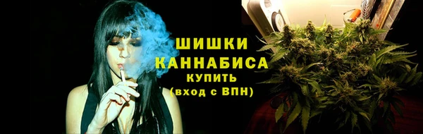 СК Пестово