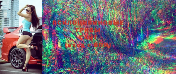 мдма Переславль-Залесский