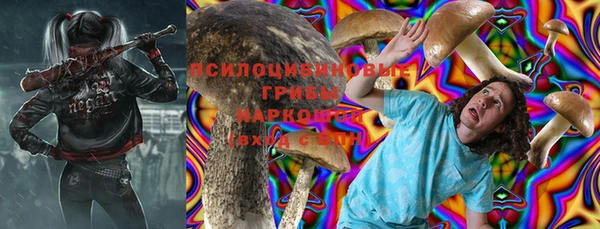 СК Пестово