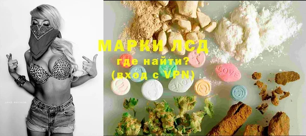 PSILOCYBIN Гусиноозёрск