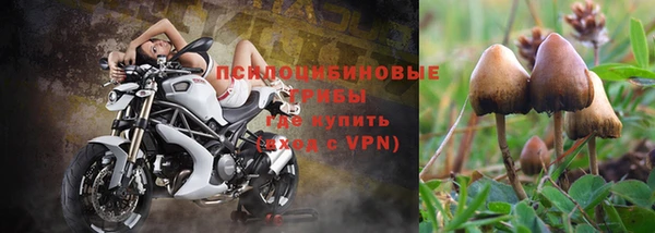 дистиллят марихуана Пересвет