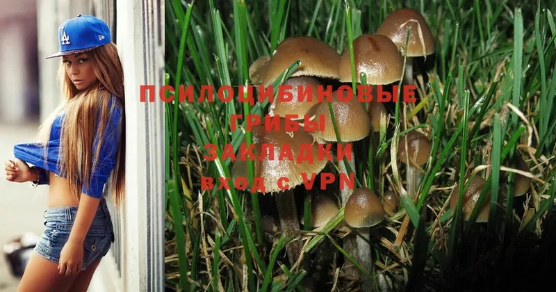 Псилоцибиновые грибы Psilocybe  MEGA маркетплейс  Агидель  маркетплейс как зайти  магазин  наркотиков 